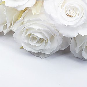 Стабілізовані квіти і сухоцвіти