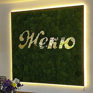 Логотипи із моху