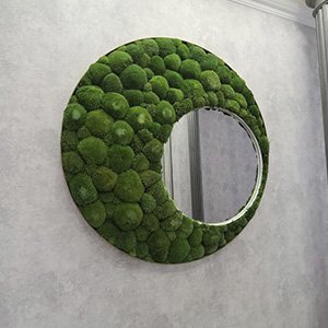 Круглі панно з моху