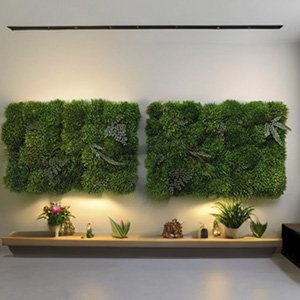 Картини із моху з підсвіткою