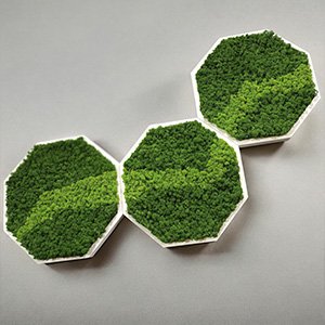 Шестикутники / соти