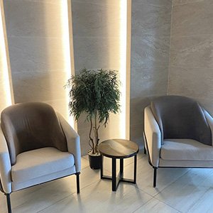 Стабілізовані дерева