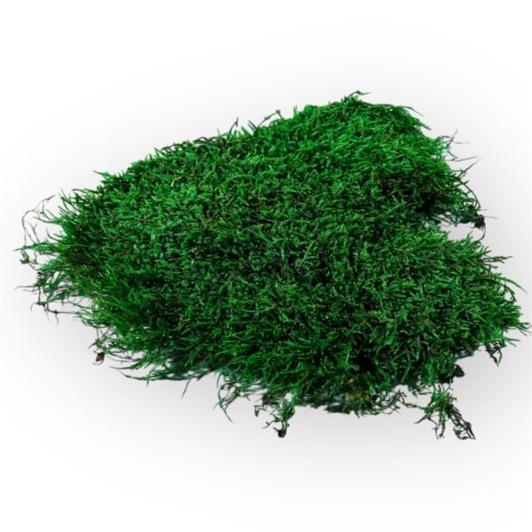 Flat moss