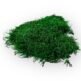 Flat moss