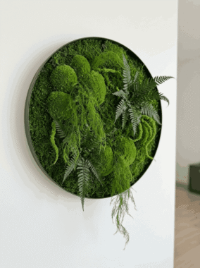 add-the-exact-preserved-stabilized-plant_0CMOcn-CVtuwIfyEzqkRGg_a3idjCQ1SK-VX5QmNJ021A_cover Картига з моху та стабілізованої трави