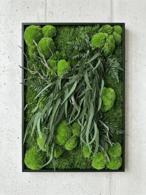 add-the-exact-preserved-stabilized-plant_3c3v75Q4W367h2J8GojuPA_OC1-lP00QtCWmMj5Jo88zw_cover Картина з моху та евкаліптом