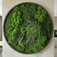 add-the-exact-preserved-stabilized-plant_CYwzzF1rXcWLASXhpEerlg_jyz3yVmhRF-mlBaZp3mMrA