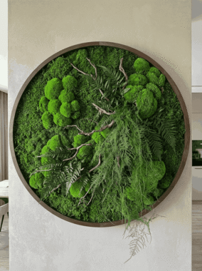 add-the-exact-preserved-stabilized-plant_CYwzzF1rXcWLASXhpEerlg_jyz3yVmhRF-mlBaZp3mMrA