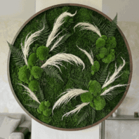 add-the-exact-preserved-stabilized-plant_vAIq9xaZWGG8pXQpPzpp7g_sHkxzErXSMaBjo3Wvup5Aw_cover